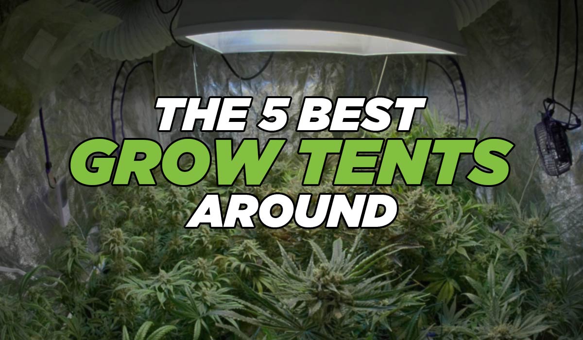 The 5 Best Grow Tents Around