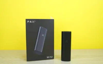 Pax Mini Review